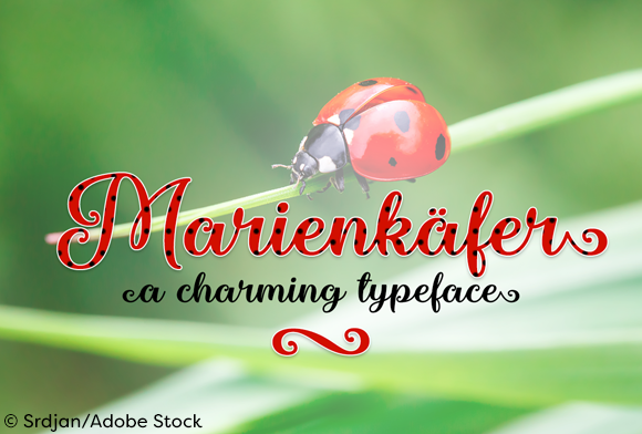 Marienkaefer Font: Elevate Your Brand Identity