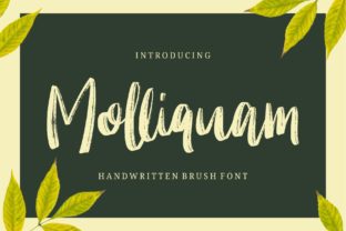 Molliquam: A Charming Handwritten Font for Editorial Design