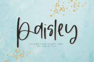 Paisley: A Designer’s Honest Review of This Script Gem