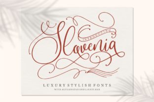 Slovenia Typeface Review: A Luxurious Script Font