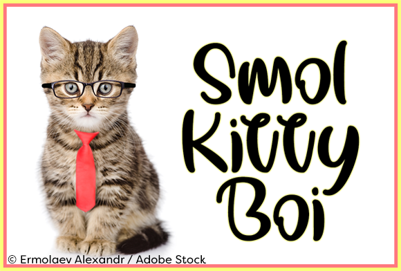Smol Kitty Boi: A Playful Handwritten Font for Editorial Design