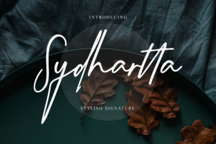Sydhartta Font Review: A Designer’s Campaign Take