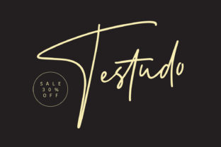 Testudo Font: Elevate Your Brand Visuals